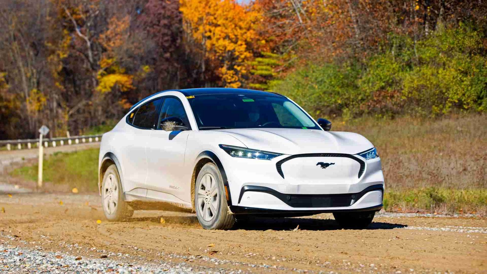Ford Shows How It Used Robotic Butts To Test Mach-E Durability