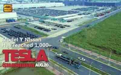 Tesla Model Y Production In Shanghai Reaches 1,000/Day