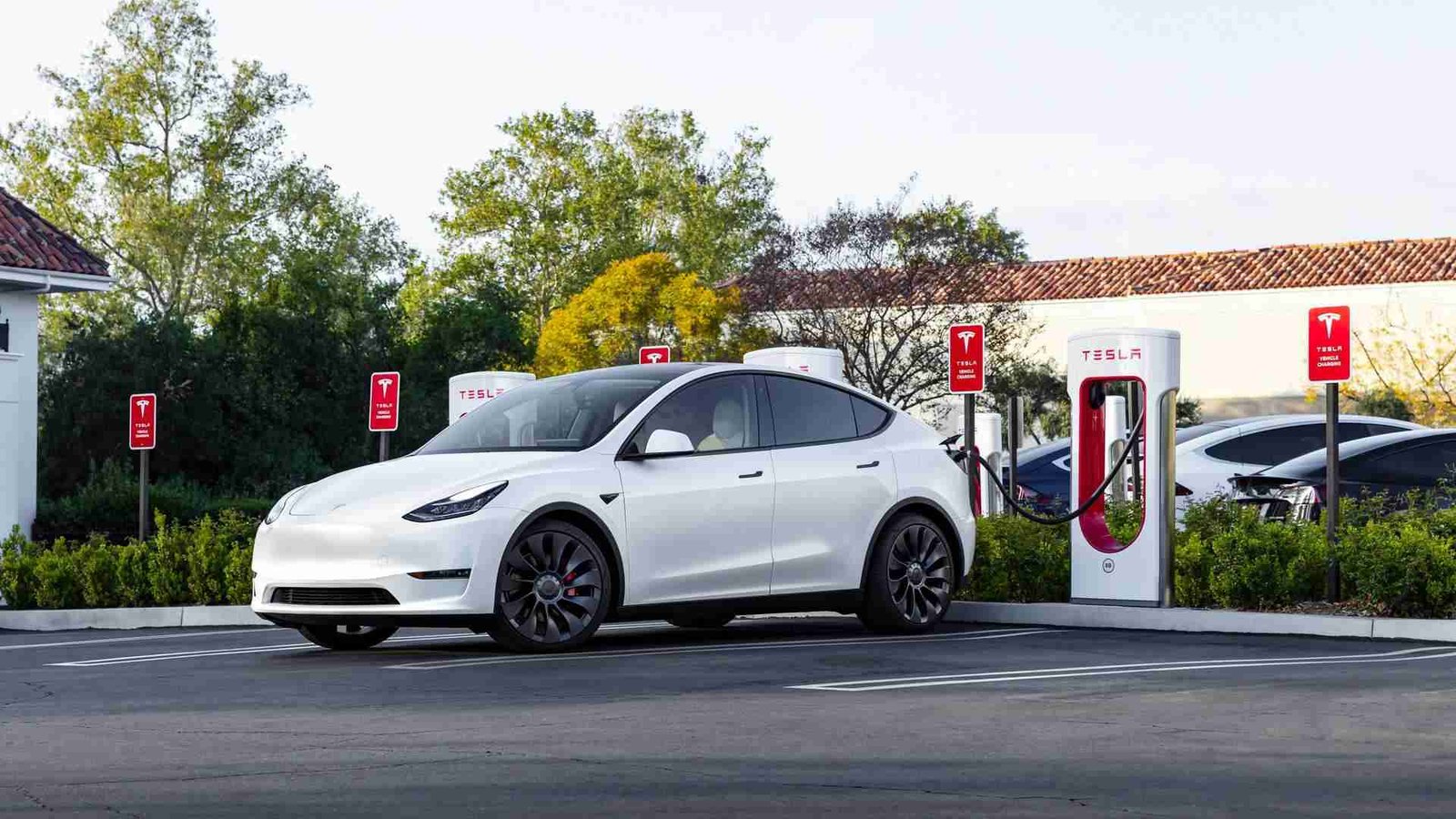 5 New Tesla Model Y ‘Trims’ Up For Approval In China: Exports?