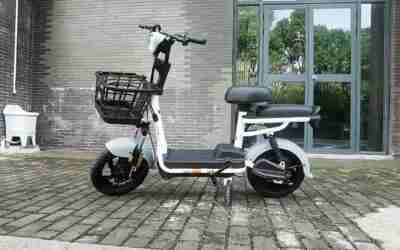 Youyuan  Electric car electric bicycle 48v battery car mini small pedal transport unisex