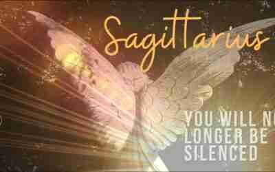 Sagittarius | Grab some tea and get comfortable, your freedom and peaceful walk awaits  ? Nov 2021
