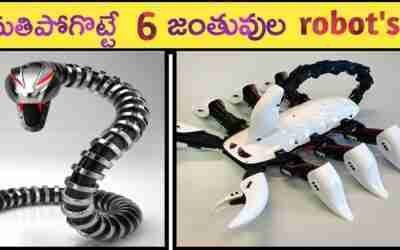 Top 6 Animal robots in Telugu// Animal robot's in telugu//Anoop telugu