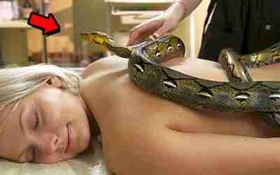 ?? పాములతో మసాజ్ | snake massage | #shorts #telugufacts #telugushorts | virinchi facts in telugu