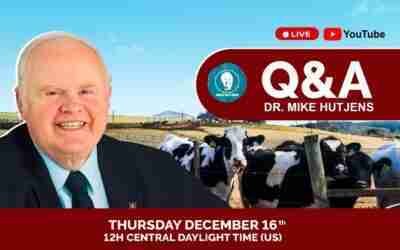Part 2 – New NRC 2021 – 8th Q&A with Dr. Mike Hutjens – Dairy Feeding and Management Online Course