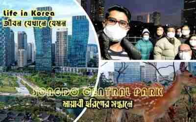 Vlog 20: মায়াবী হরিণের সন্ধানে ছংদো সেন্ট্রাল পার্ক | ২০২১.১২.১১