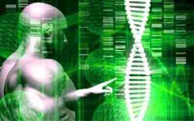Is Japan's Anti Aging Vaccine the Future of Longevity?
