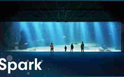 How The French Built The Largest Aquarium In Europe [4K] | Aquarium Megastructure: Nausicaá | Spark