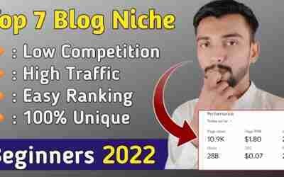 7 Best Blog Niche Ideas/Topic 2022 | Low Competition High Traffic Blog Niches To Earn Money Online