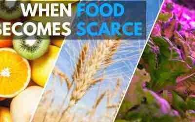 Farms of the future, VERTICAL farming without soil, High Tech E-Farm