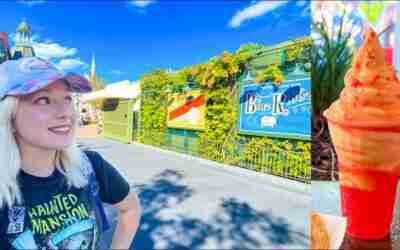Magic Kingdom Day After Christmas! No Waits for Rides with Genie, Parade, Snacks, Dole Whip, SNOW!