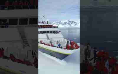 National Geographic Expeditions in Antartica #shorts