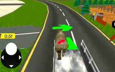 Animal truck driver game animal truck driver animal transport from!!!!