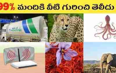 TOP INTERESTING AND UNKNOWN FACTS IN TELUGU | TELUGU FACTS | PN FACTS