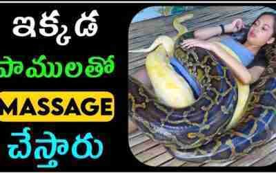 ఇక్కడ పాములతో Massage చేస్తారు #anilfacts #shorts