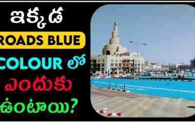 ఇక్కడ roads blue colour లో ఎందుకు ఉంటాయి? #anilfacts #shorts