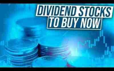10 Dividend Stocks To Buy Now