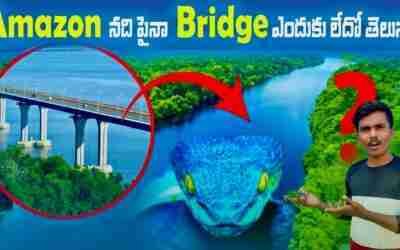 AMAZON RIVER BRIDGE | TELUGU FACTS | TELUGU FACTS NEW | INTRESTING FACTS IN TELUGU | RAJA FACTS