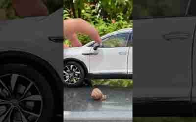Show All Car model toy is coming #carmodel #shorts #48