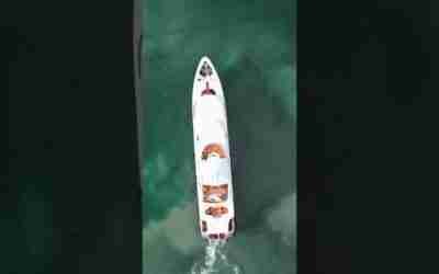 Newcastle Loon Charter #shorts