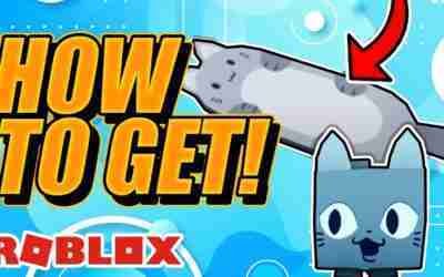 How To Get The CAT HOVERBOARD In Roblox Pet Simulator X