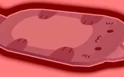 cat hoverboard -pet simulator x