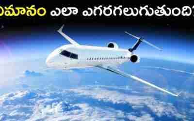 విమానం ఎలా ఎగరగలుగుతుంది? How do Airplanes fly in Telugu?