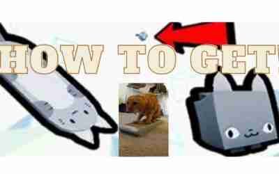 *WOW!!* Is this how to get *CAT HOVERBOARD* In Pet Simulator X? (Insane!!)