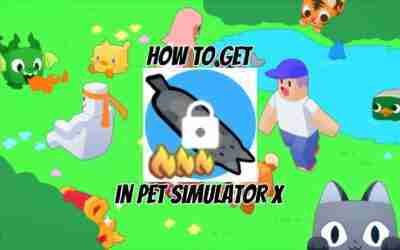 i think this is how to get the cat hoverboard (pet simulator x)