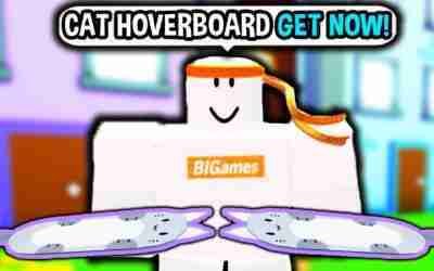 CAT HOVERBOARD is in Game *CONFIRMED* Pet Simulator X Roblox