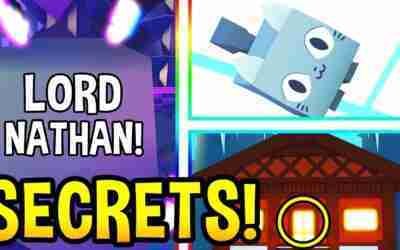 ALL PET SIMULATOR X *SECRETS* How To Get CAT HOVERBOARD Pet Simulator X Roblox