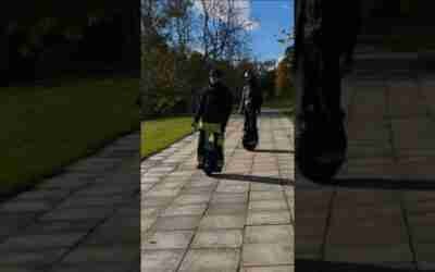 Group-of-people-riding-hoverboards-in-park #shorts