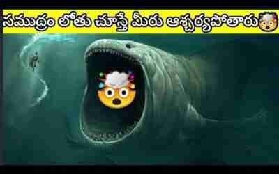 సముద్రం లోతు చూస్తే మీరు ఆశ్చర్యపోతారు?#ocean @V R Facts In Telugu#shorts