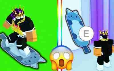 I Got CAT HOVERBOARD in Pet Simulator X Roblox