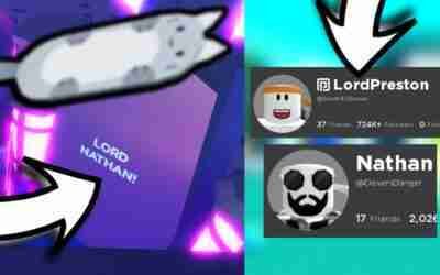LORD NATHAN CODE CAT HOVERBOARD! PET SIMULATOR X