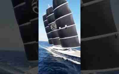 The Incredible Black Pearl #shorts