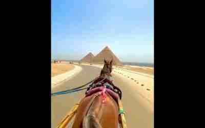 Seeing the pyramids up close!!! #shorts