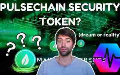 Questioning The Founders of MAD Energy – PulseChain's 1st Security Token