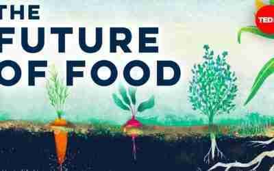 Can we create the "perfect" farm? – Brent Loken