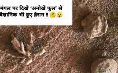 मंगल पर दिखे ‘अनोखे फूल’ से वैज्ञानिक भी हुए हैरान !! ?? #shorts #shortsvideo #amazingfacts