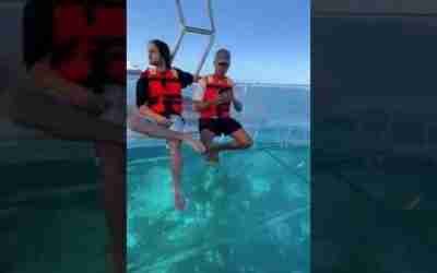 Glass Bottom Boat #shorts