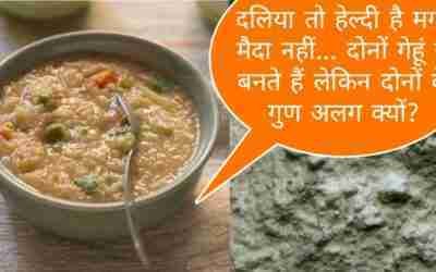 क्यों एक healthy हैं और दूसरा unhealthy? ?? #shorts #shortvideo  #food #ytshorts