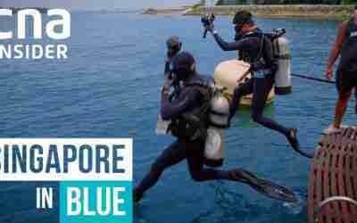 Singapore's Blue Future – In Skies & Seas | Singapore In Red, Green And Blue | Full Episode