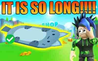 CAT HOVERBOARD PROBLEMS Pet Simulator X