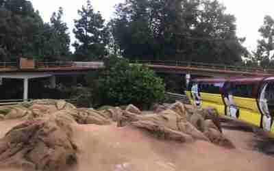 Disneyland Monorail (Downtown Disney to Tomorrowland) 2019 10 27