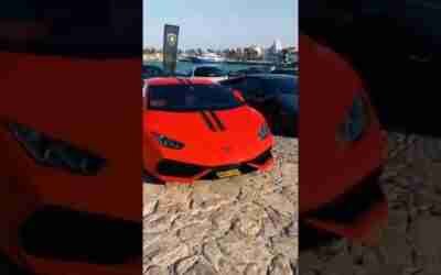 Is 2022 a good year to buy a car? #cars #shorts