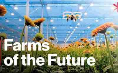The Futuristic Farms That Will Feed the World | Freethink | Future of Food