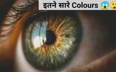 इतने सारे colours ?? #shorts #shortsvideo #amazingfacts #ytshorts
