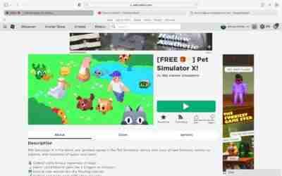 How to get the cat hoverboard and all level 99 in the mastery update in Pet Simulator X!
