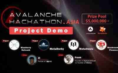 Project Demo VI | Avalanche Asia Hackathon #blockchain #crypto #Avalanche #NFT #DeFi #GameFi