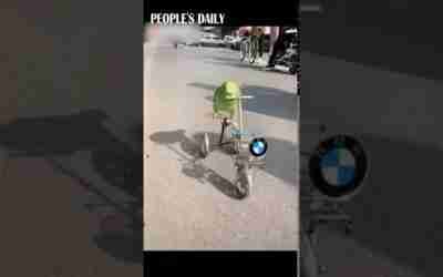 Funny! Parrot is seen taking a "BMW" for a ride!